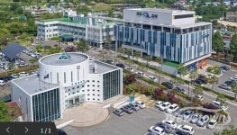 구례군, 구례 감특별 직거래 장터  운영, 11월 3일, 8일, 13일 등