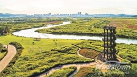 갯골이 놀이터로…시흥도시공사, 3월부터 계절 체험 본격 가동