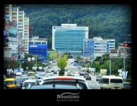 [기획] 원주시 도로 재포장 사업, 체계적 연계 없는 반쪽짜리 행정
