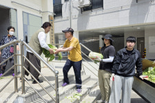 옹진군 대청면, 직접 키운 농산물로 나눔 실천…경로당에 온정 전달