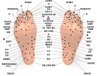 당신의 발은 안녕하십니까?