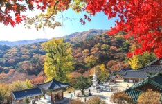 짧은 만큼 아쉬움 짙은 가을을 기억하기 좋은 경기도 명소는?
