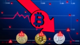 비트코인 붕괴 시나리오…BCH·BNB·LTC 줄줄이 적색경보