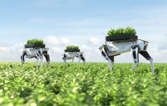 농장 인력 사라지자 AI 투입…그러나 무인농장 시대는 아직 멀었다