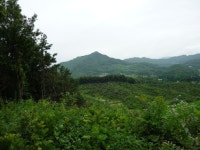 괴산에서 음성으로