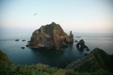 그곳엔 때 묻지 않은 자연만 살고 있다