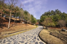전국 최초의 목재문화체험장이 자리잡은 산림문화의 명소