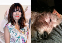 이효리, 애견 순심이 실체 공개 눈 뜨고 자네