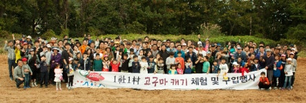 건화, 13년째 농촌사랑 일손돕기 행사 진행