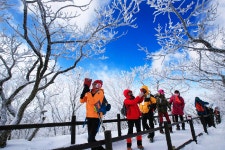 추위가 만든  ‘겨울왕국’... 덕유산 눈꽃여행