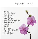 [詩로 읽는 세상이야기 ] 작년 그 꽃