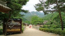 [이야기가 있는 길] 바람도 쉬어가는 옛길…문경새재