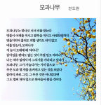 [詩로 읽는 세상이야기] 모과나무 - 안도현