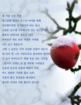 [詩로 읽는 세상이야기] 겨울 사과나무를 위하여 - 박라연