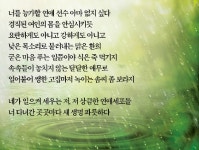 [詩로 읽는 세상이야기] 봄비 - 정소진