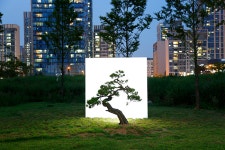 [이수완의 공공미술 산책] <32> 이명호作 ‘자라나는 조각’