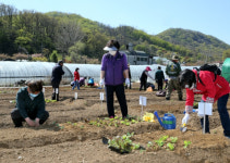 “연 3만원” 안양천 텃밭 분양 나선 서울 금천구