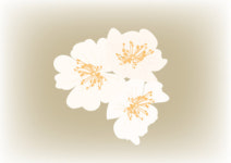 [마음의 창] 찔레꽃머리