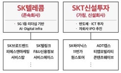 SKT, 11월1일 둘로 나뉜다… 액면분할도 동시 추진