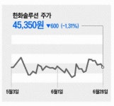 한화솔루션 김동관號, 태양광사업 빛 발한다