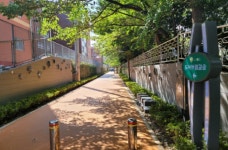 부산시, 사하구에 도시바람길숲 조성