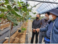 인천시, 인천농업대학 포도 마이스터 과정 운영
