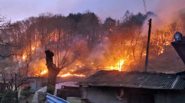 [포토] 강릉 옥계면 산불 현장