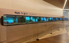 갤러리아百, 백남준 탄생 90주년 맞아 ‘TV 물고기’ 전시