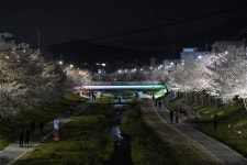 천안 원성천, 야간 산책 시민 위한 경관조명 설치