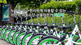 서울 시민, ‘따릉이’로 지구-달 362회 왕복했다