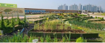 인천 남촌농산물도매시장 옥상 텃밭 시민참여 다양한 프로그램 운영