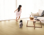 [펫테리어가 뜬다] 반려인·반려동물 모두가 안심사용…PS인증 제품 ‘눈길’