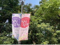 인천 월미공원 둘레길, 산수국과 함께하는 힐링산책