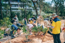 현대차, 강원도 홍천과 전북 군산에 ‘아이오닉 포레스트’…친환경 숲 확대