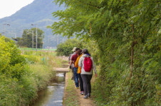 양평 물소리길 전국에 알린다… 양평군, 제1회 관광페스타 개최