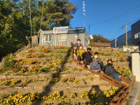 달성군, 마을가꾸기 사업, 주민이 함께 마을을 변화시키다!