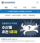 “지금 가장 싼 수산물 찾아드립니다” … 인어교주해적단, 인플레이션 ‘역주행’
