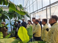 천안시의회 경제산업위원회, 힐링체험 바나나 농장 현장방문