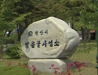 천안시 맑은물사업본부, 원성동 1단계 하수관로 정비공사 준공