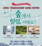 대한외국인지원센터 “숲에서 힐링 어때요”