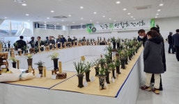 진주난연합회, ‘한국춘란 엽예품 전시회’ 개최