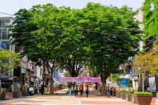 ‘붉은 길’따라 마포구 ‘핫플’매력에 빠지다