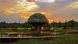 정전70주년 기념, 임진각 관광지의 새로운 매력탐구