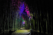 [Tour &] 숲 그늘로 떠나는 여름여행