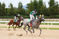렛츠런파크 부산경남, 도전장 던진 2023 경마 신예들... ‘백두의꿈’, ‘라라케이’눈도장