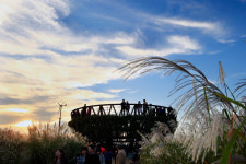 [Enjoy Life] 아름다운 이름 ‘난지도’