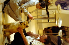 이건희가 있었기에 ‘진돗개’도 있었다