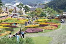 [포토] 약초 꽃향기 느끼며 한걸음 두걸음 걸어요