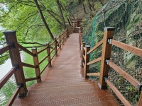 수원시, 광교산·칠보산 등산로 깔끔해졌다