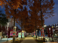 기장군, 정관윗골공원 추억&희망의 빛거리 조성... 경관조명 명소로 각광